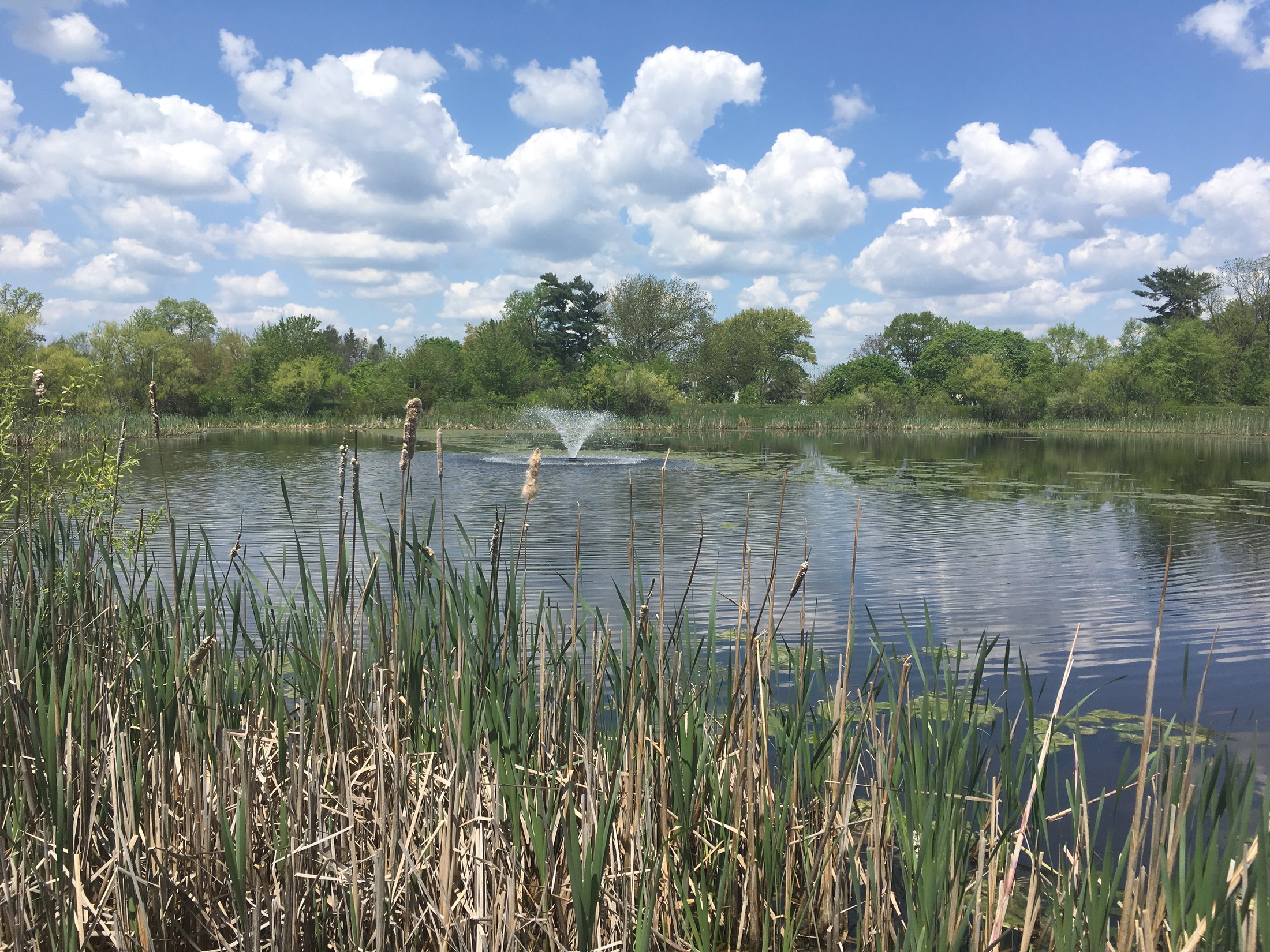 The pond at Warminster Community Park in Warminster Township, Pennsylvania.